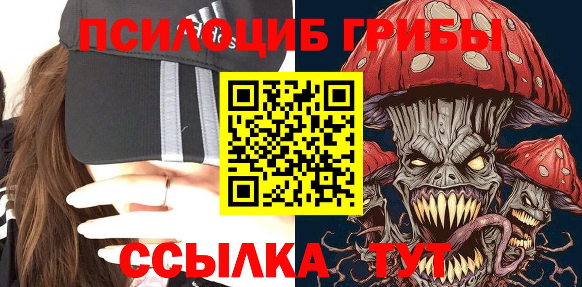 Псилоцибиновые грибы мицелий Тара